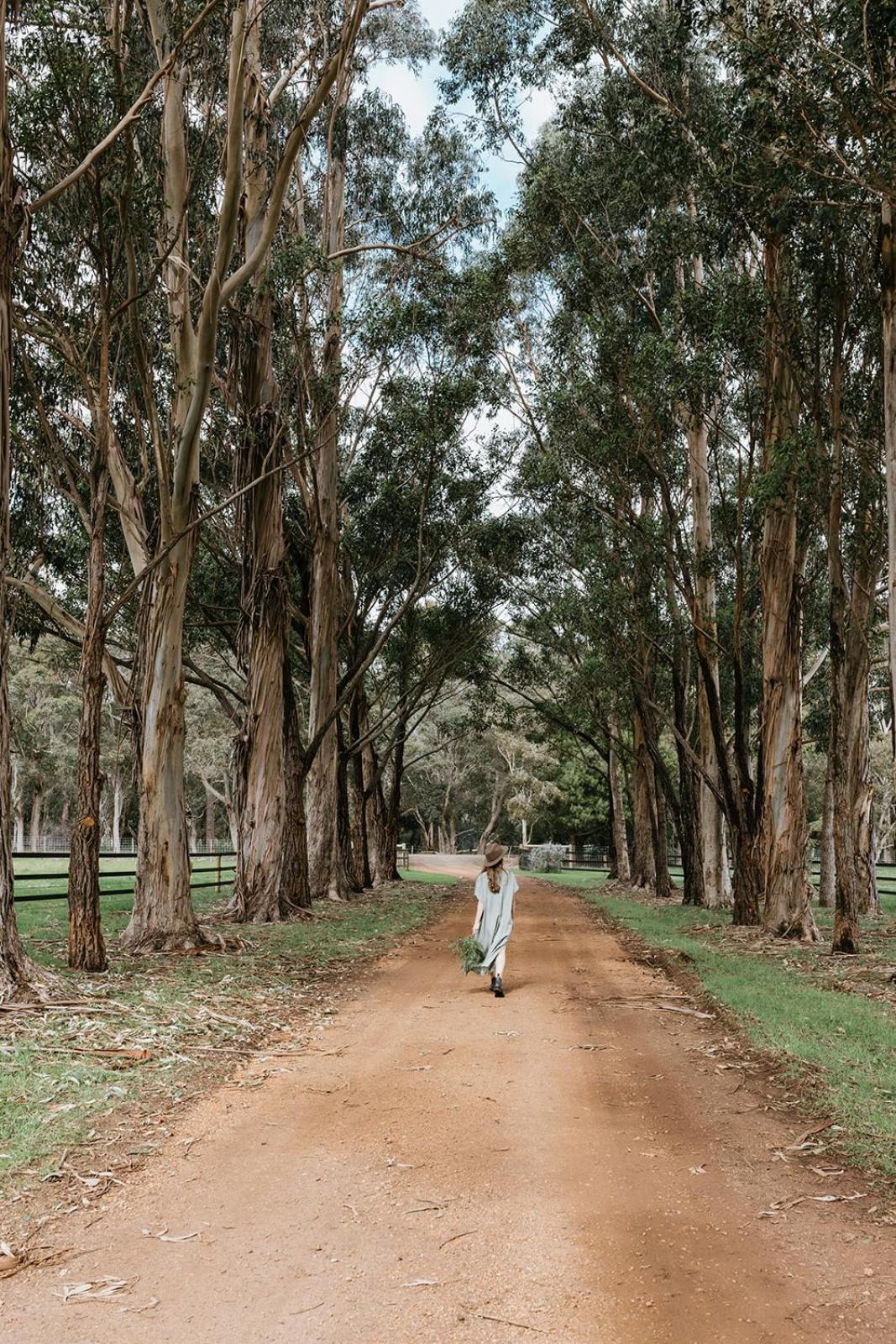 Chambre Estate Margaret River Dış mekan fotoğraf